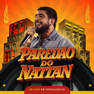 Capa de Aproveita Que Eu Tô Brigado (Ao Vivo) no Spotify